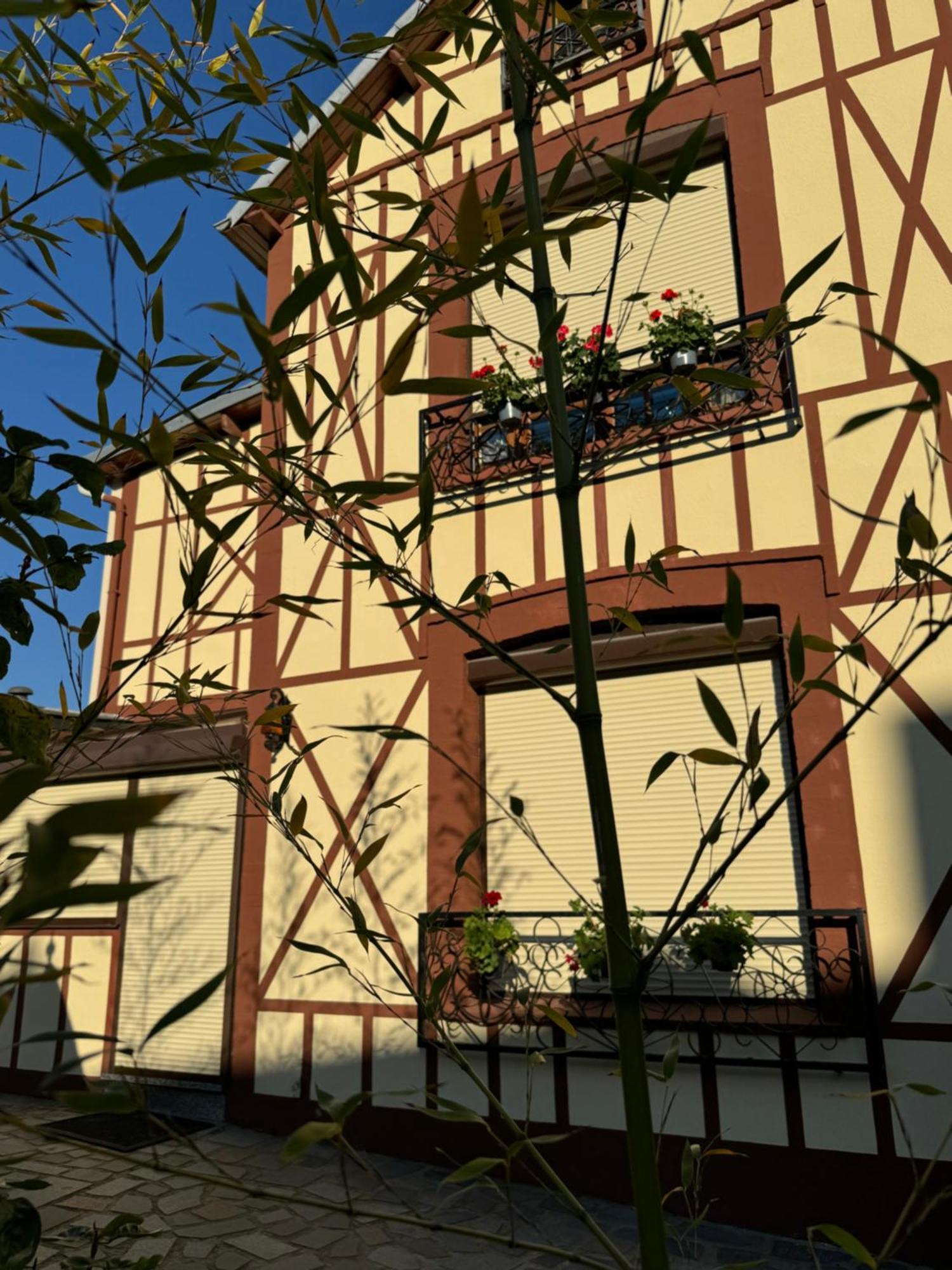 Maison Colombage Normande 弗莱尔 外观 照片